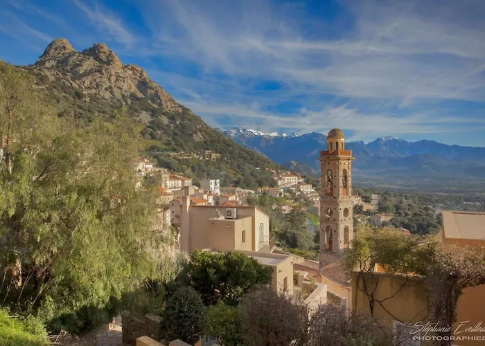 Domaine Bollaccia - Casa Ostriconi * Monticello